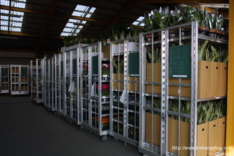 HZ-558型花車貨架